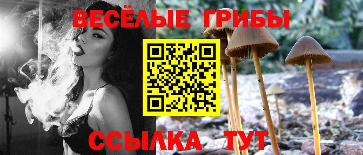 Советская Гавань  Галлюциногенные грибы прущие грибы  Галлюциногенные грибы Magic Shrooms  Вход с VPN 